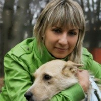 ветеринар Дергунова Екатерина